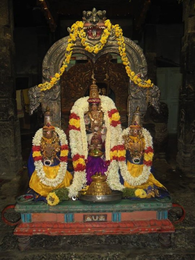 Mylapore adhikesava perumal Swami Manavala Mamunigal utsavam 2013-08