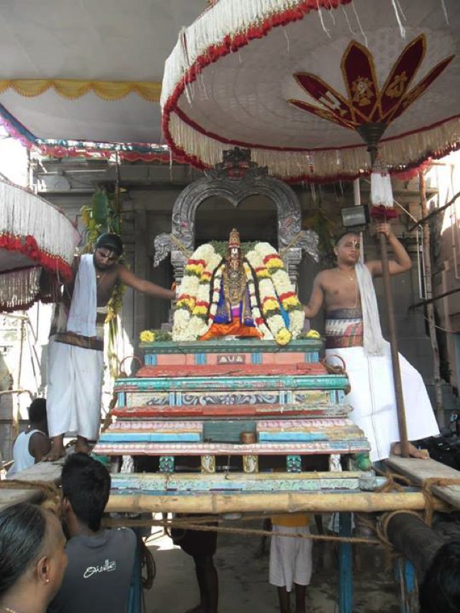 Peyazhwar avatara Utsavam commences 2013-01