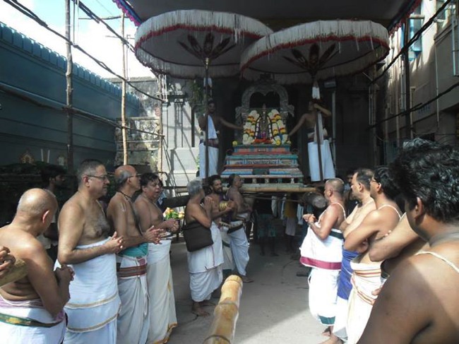 Peyazhwar avatara Utsavam commences 2013-08