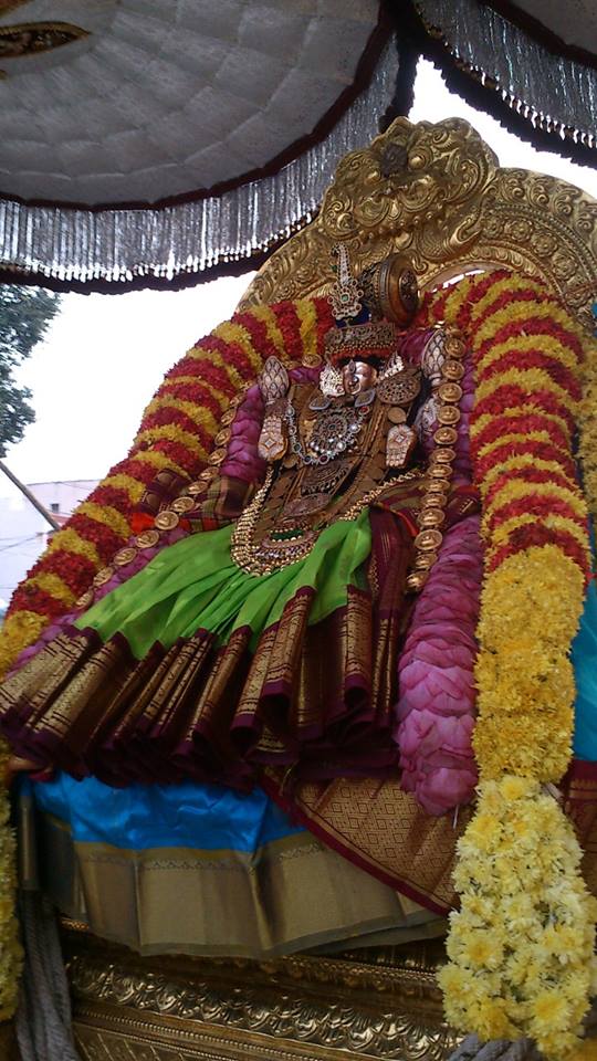 Sri Padmavathi Thayar Brahmotsavam10