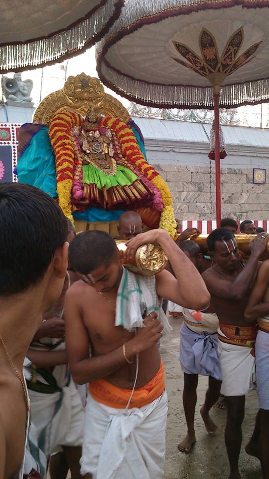 Sri Padmavathi Thayar Brahmotsavam11