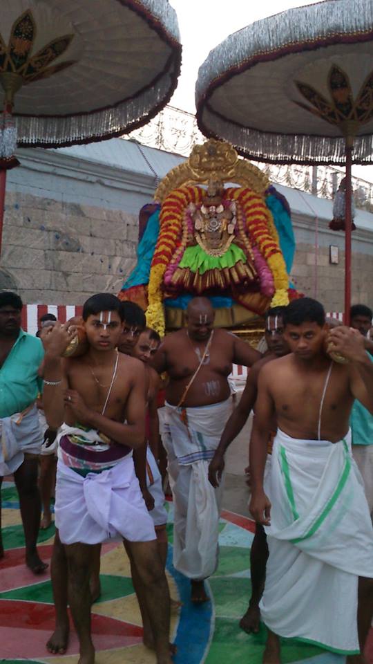 Sri Padmavathi Thayar Brahmotsavam12