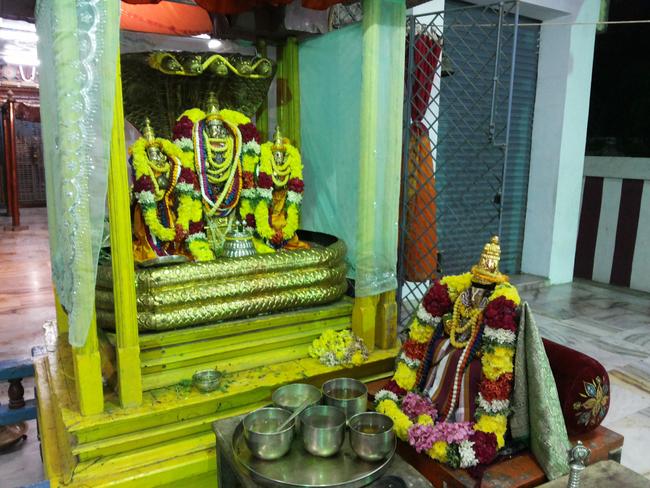 Sriperumpudur Swami Desikan Sannathi Pavithrotsavam 2013 -27