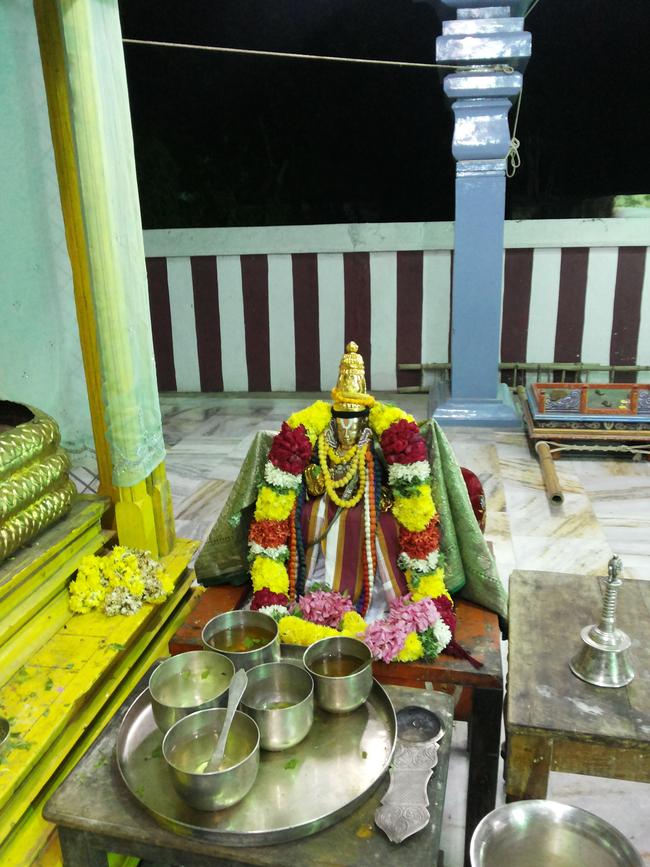 Sriperumpudur Swami Desikan Sannathi Pavithrotsavam 2013 -30
