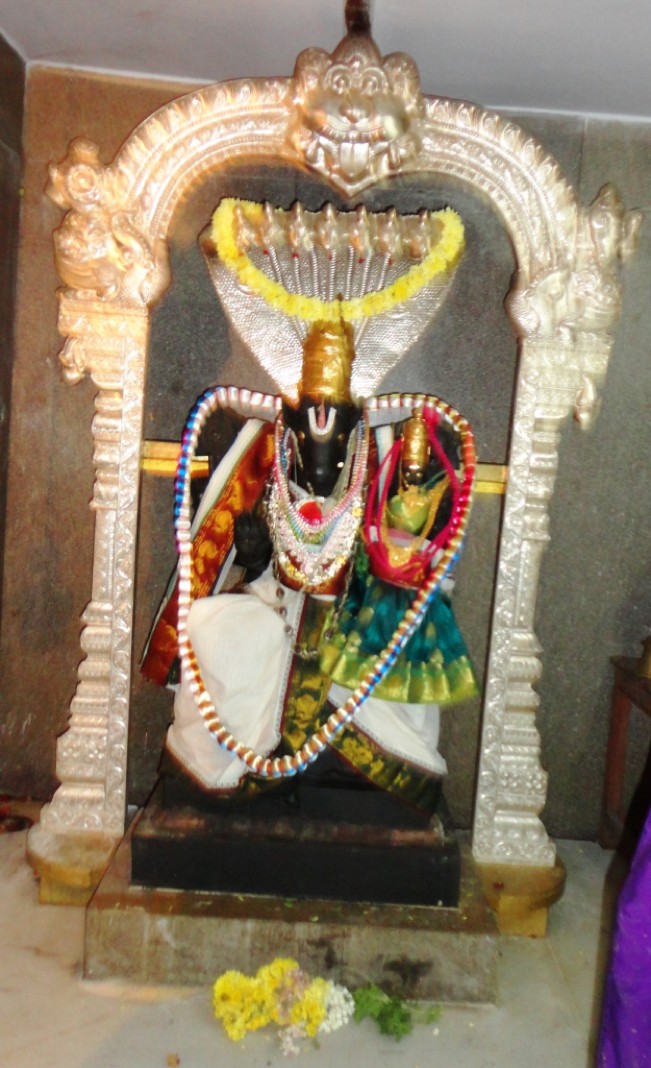 Sripuram Pavithrotsavam_11