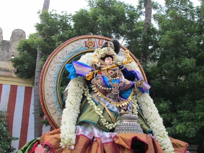 Srirangam Poundaeekapuram swami desikan utsavam 2013 -31