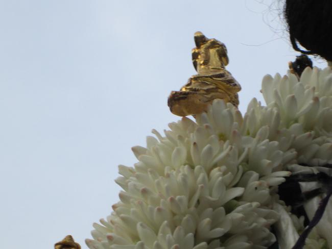 Srirangam Poundaeekapuram swami desikan utsavam 2013 -32