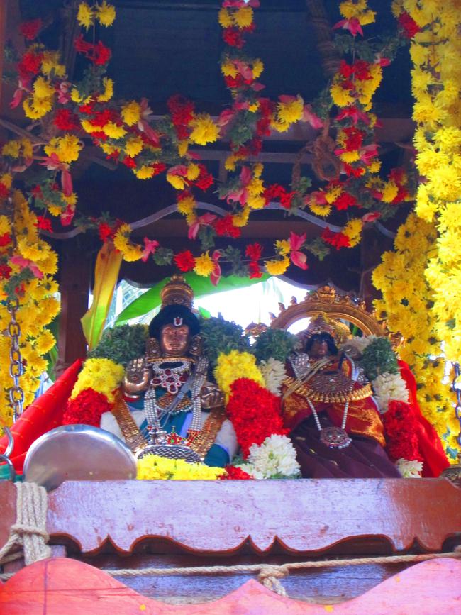 Srirangam Poundarikarpuram ashramam swami desikan thirunakshatram thiruther 2013 -19