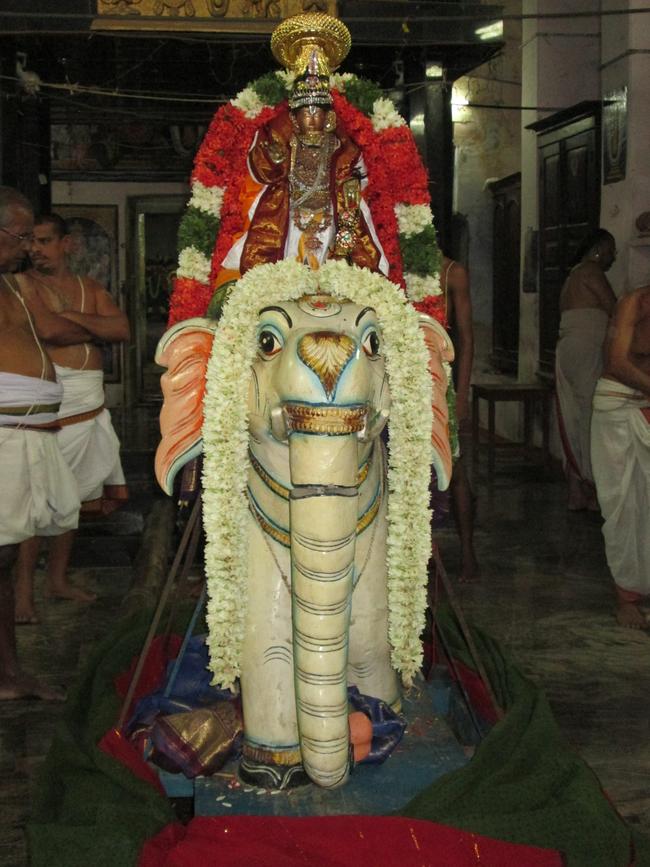 Srirangam Poundarikrapuram Swami Desikan utsavam  yanai vahanam - 2013 -01