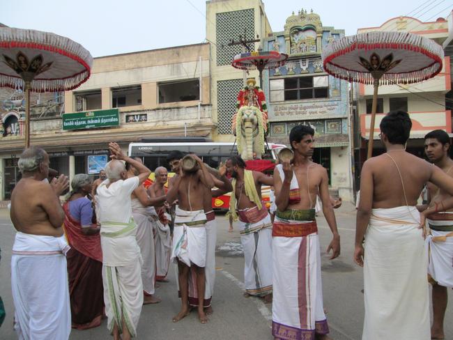 Srirangam Poundarikrapuram Swami Desikan utsavam  yanai vahanam - 2013 -10