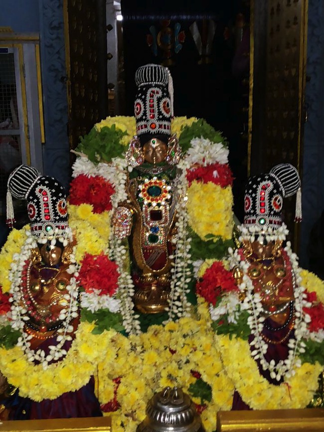Taramani Venkatesa Perumal Deepavali Purappadu 2013-01