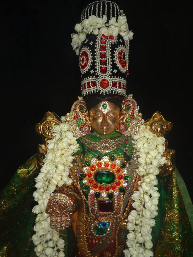 Taramani Venkatesa Perumal Deepavali Purappadu 2013-02