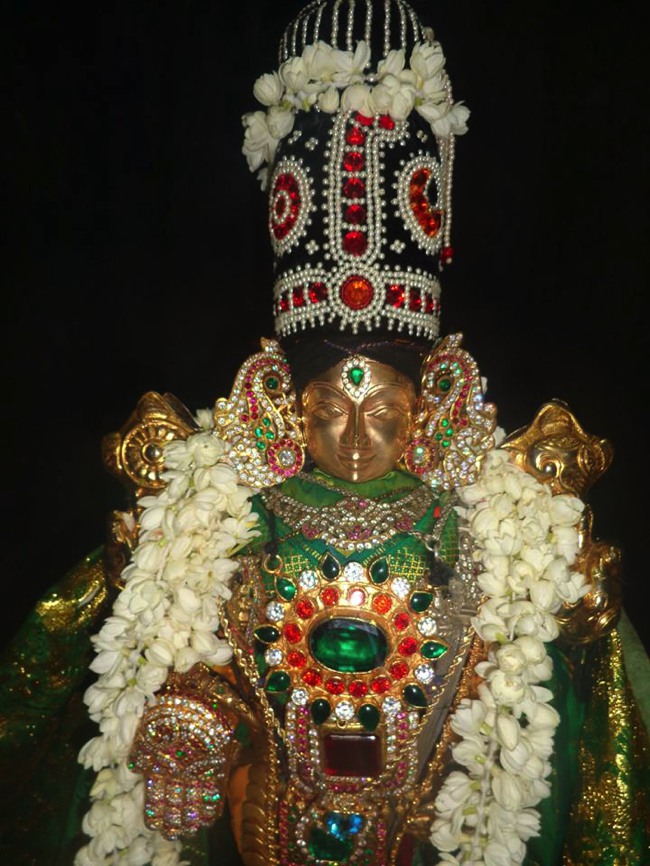 Taramani Venkatesa Perumal Deepavali Purappadu 2013-03