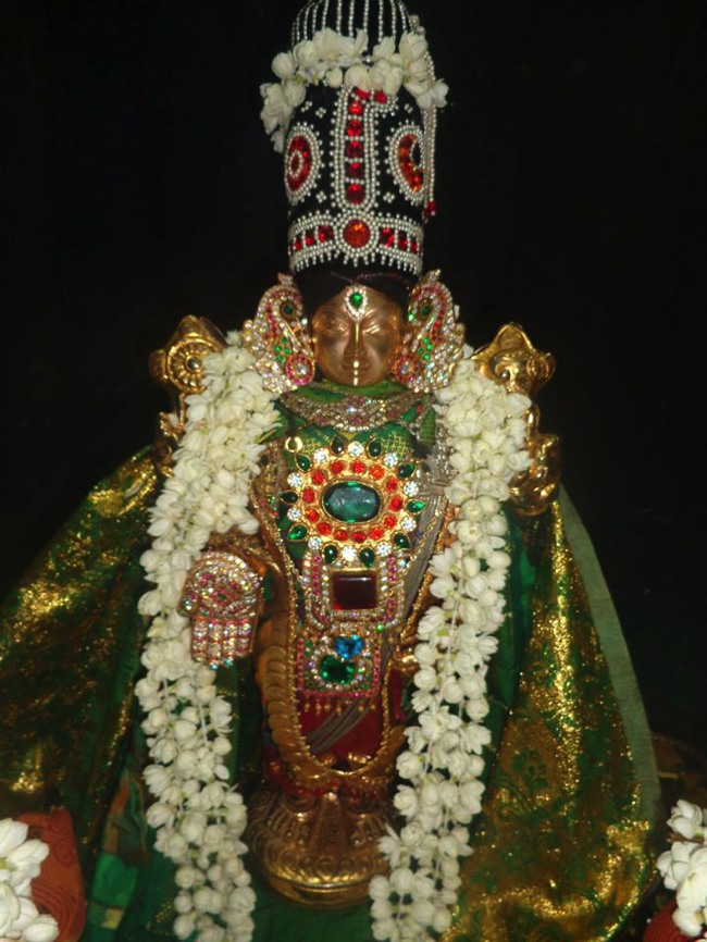 Taramani Venkatesa Perumal Deepavali Purappadu 2013-04