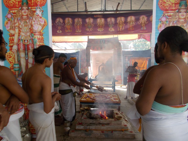 Therazhundur Aamaraviyappan Temple Pavithrotsavam 2013-09