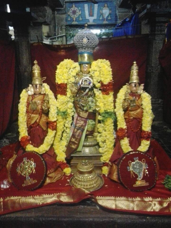 Thirunindravur Swami Manavala Mamuni satrumurai 2013 -1
