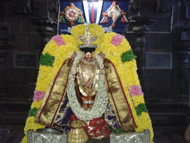 Thiruvahindrapuram Mudhal Azhwar utsavam 2013 -3