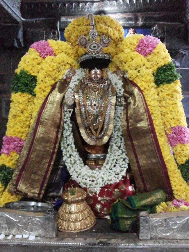 Thiruvahindrapuram Peyazhwar Satrumurai- 2013 -13
