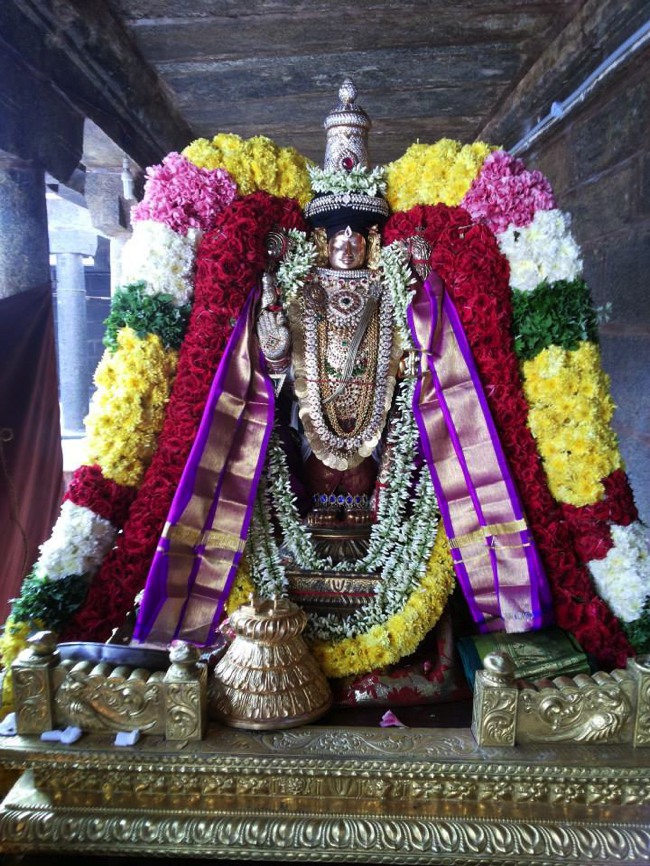 Thiruvahindrapuram Viswaksenar Thirunakshatra utsavam 2013-01