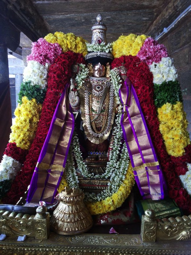 Thiruvahindrapuram Viswaksenar Thirunakshatra utsavam 2013-03