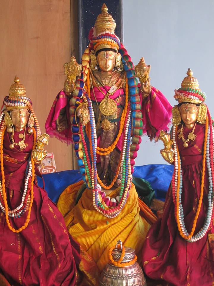 sri venkateswara mandir new delhi pavithrotsavam