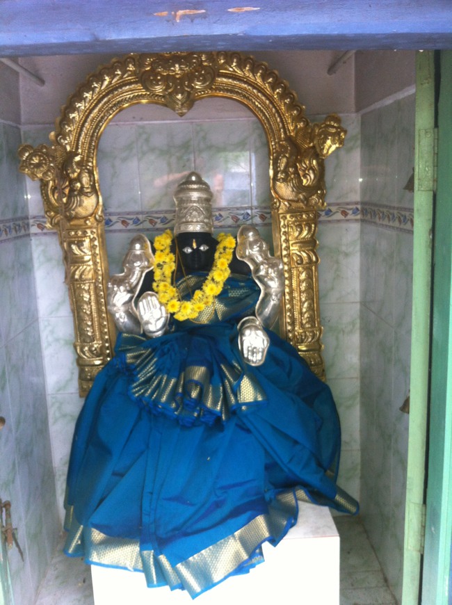 Arasanipalai Swathi Homam at Lakshmi Narayana perumal Kovil 2013--04