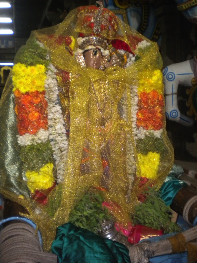 Aravamudhan Panimutta Sevai Thiruadhyayana utsavam2013--0001