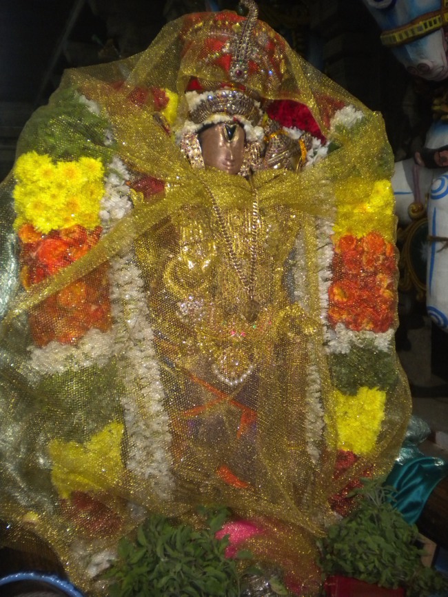Aravamudhan Panimutta Sevai Thiruadhyayana utsavam2013--0002