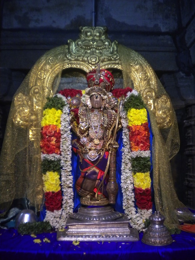 Aravamudhan Panimutta Sevai Thiruadhyayana utsavam2013--0008