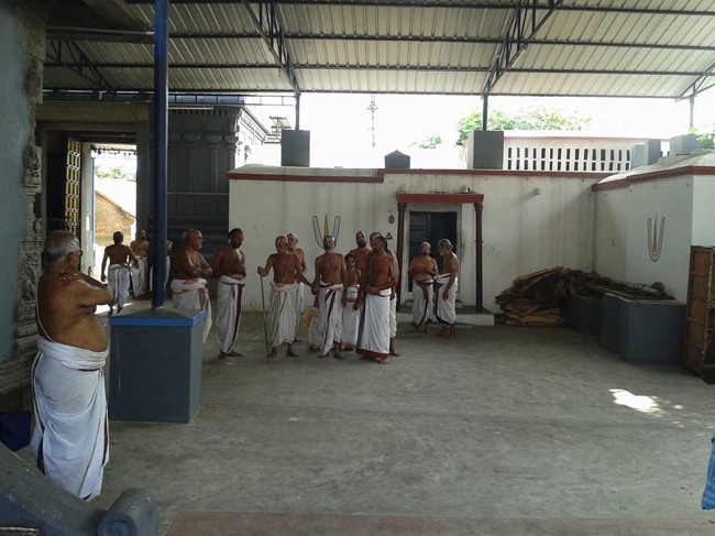 Navalpakkam Srinivasa Perumal Purappadu Margazhi Swathi 2013--09