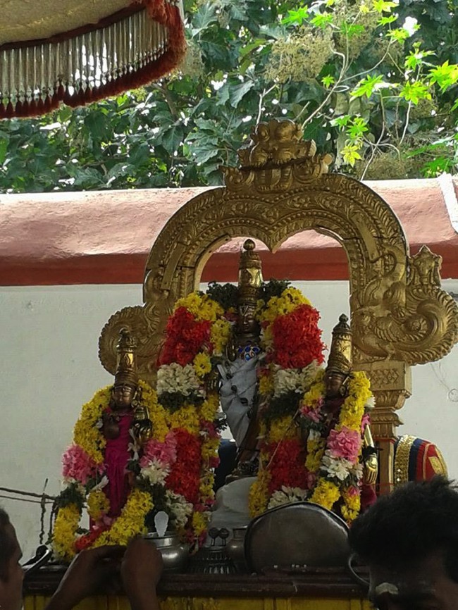 Navalpakkam Srinivasa Perumal Purappadu Margazhi Swathi 2013--10