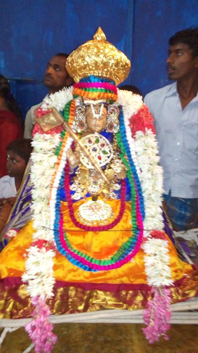 Pavithrotsavam at Thandarai Sri Lakshmi Narayana Perumal Temple 2013 -06