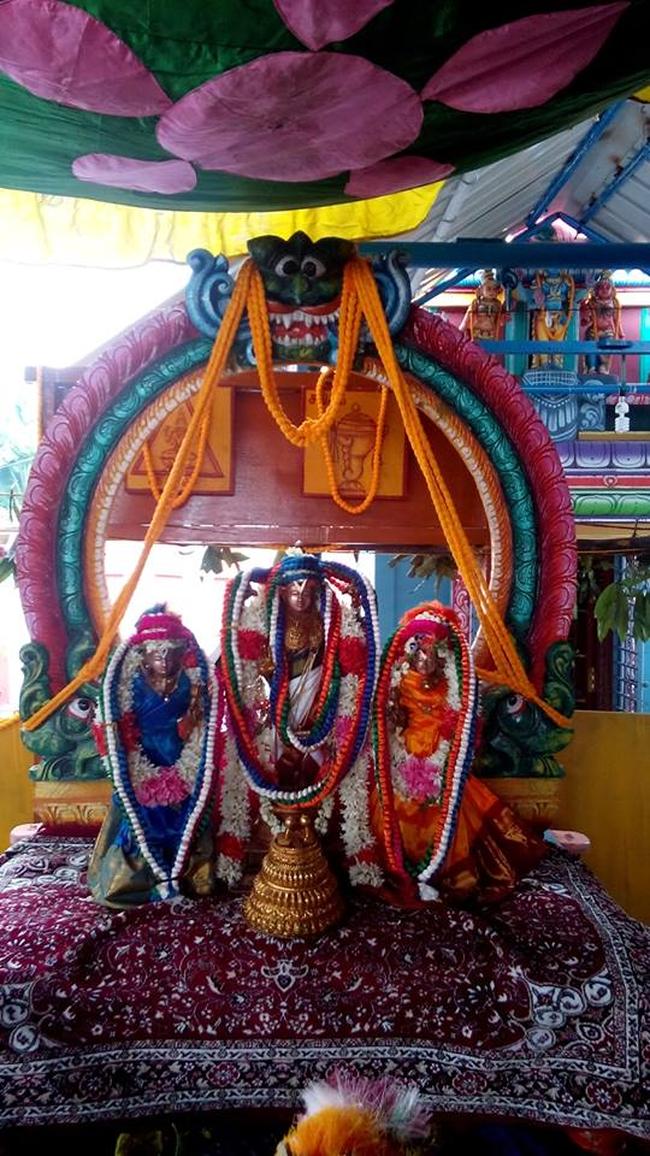 Pavithrotsavam at Thandarai Sri Lakshmi Narayana Perumal Temple 2013 -15