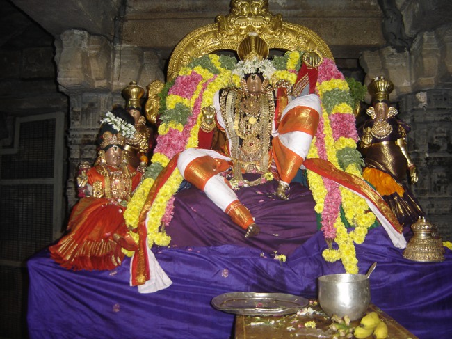 Sarangapani Thiruadhayana utsavam 2013-02
