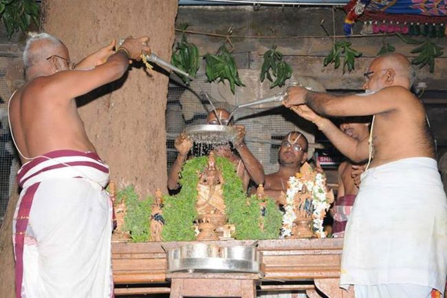 Sri Ahobilam Swathi Nakshatra Thirumanjanam and Homam02