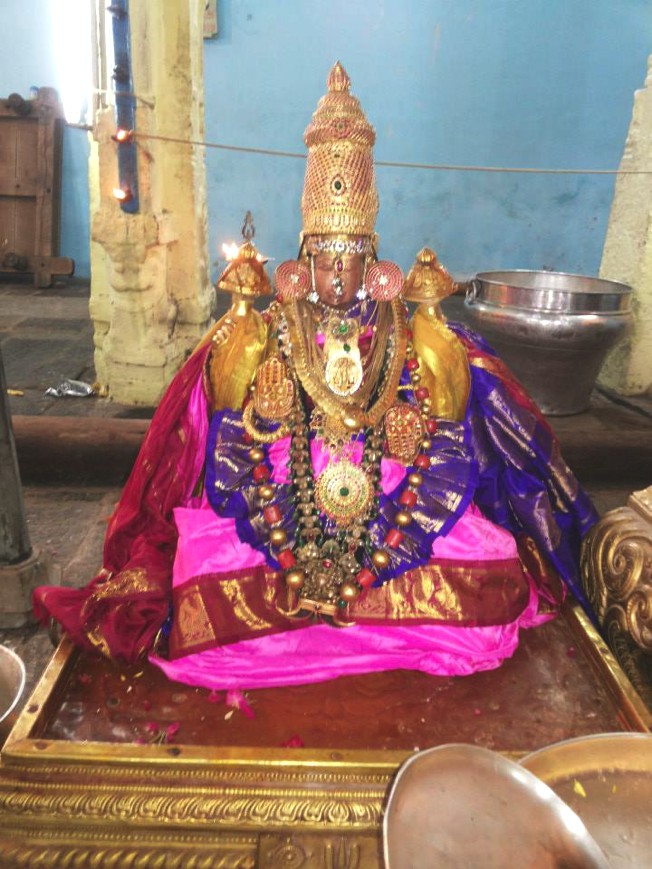 Sri Lakshmi Kumara Thatha Desikan_Kanchi_19
