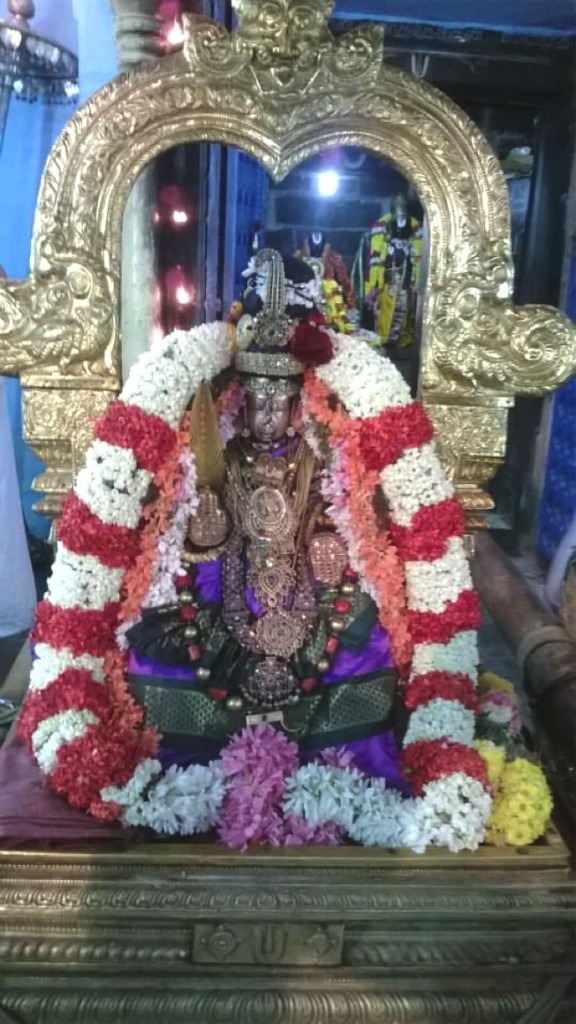 Sri Lakshmi Kumara Thatha Desikan_Kanchi_40