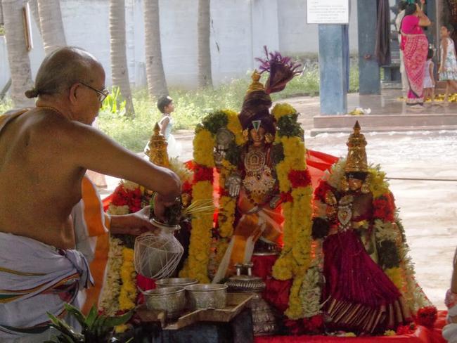Srisuktha Homam at BHEL venkatachalapathy temple 2013 -21