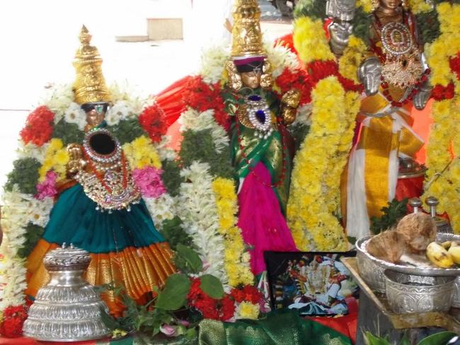 Srisuktha Homam at BHEL venkatachalapathy temple 2013 -22