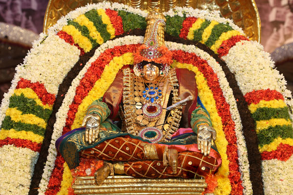 Thiruchanoor chinnasesha vahanam3