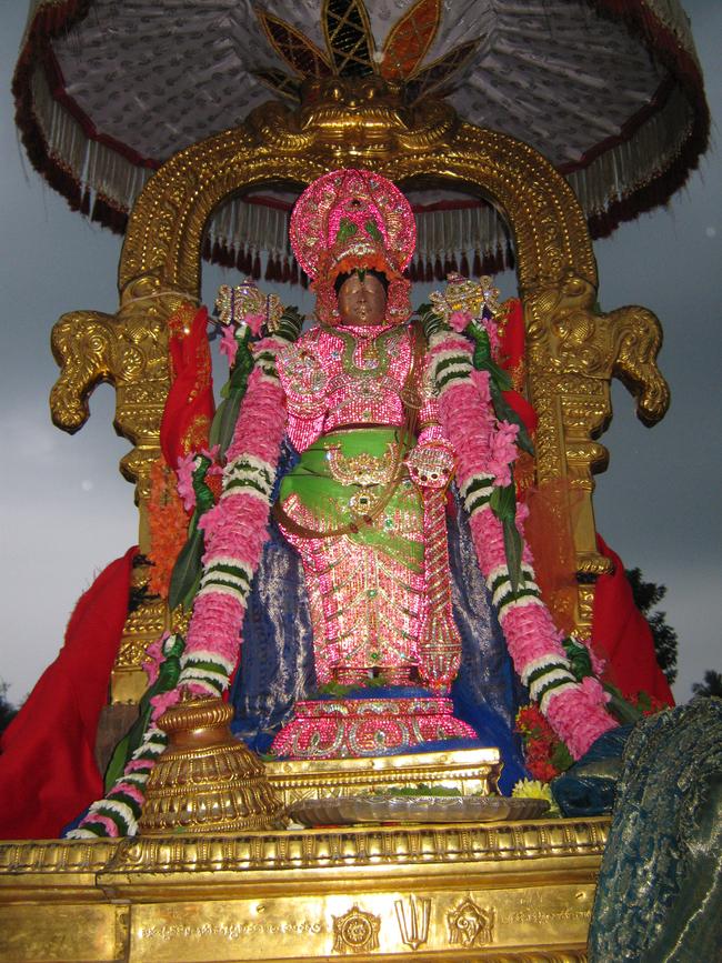 Thirucherai Kaisika Ekadeshi Utsavam 2013 -30