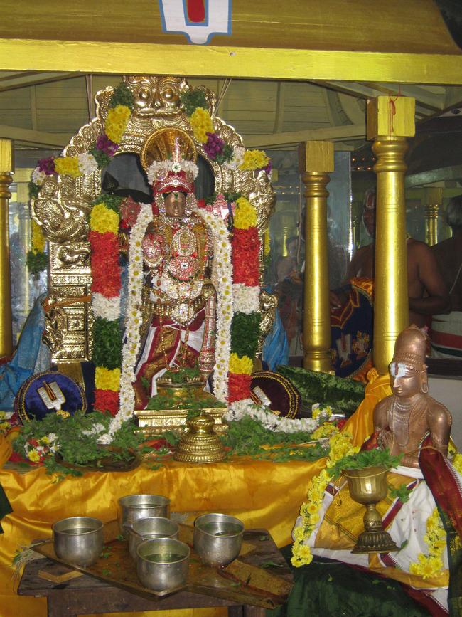 Thirucherai Nammazhwar THiruvadi thozhal 2013 -27