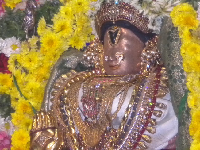 Thirukkudanthai Aravamudhan Andal Kolam_02