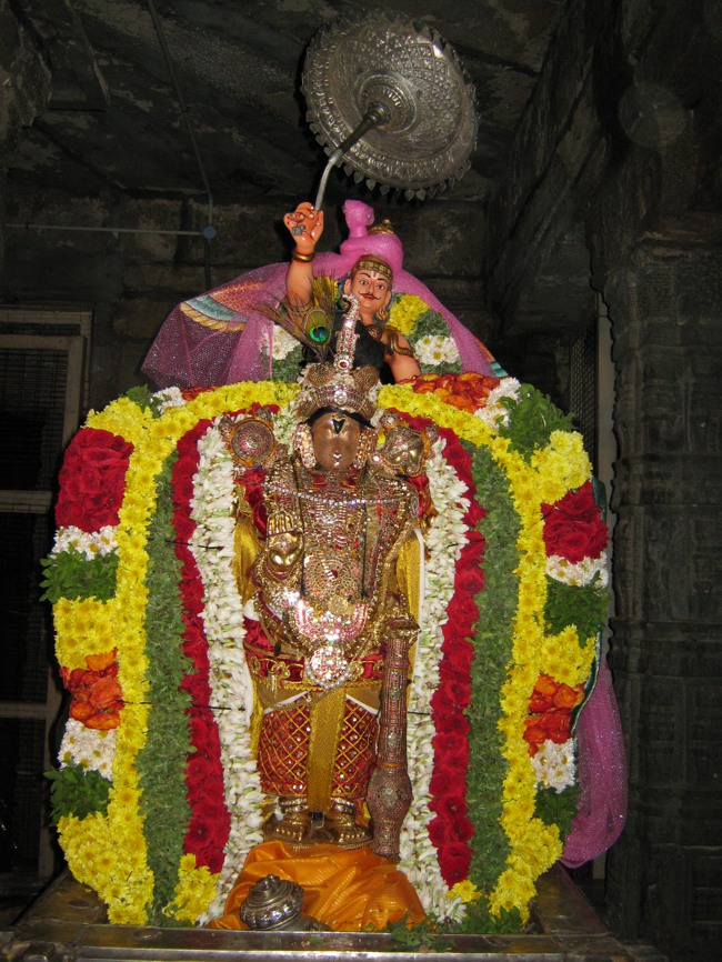 Thirukudanthai  Aravamudan Sannathi Thiruadhyayana Utsavam Gandharvan Kodai 2013--15