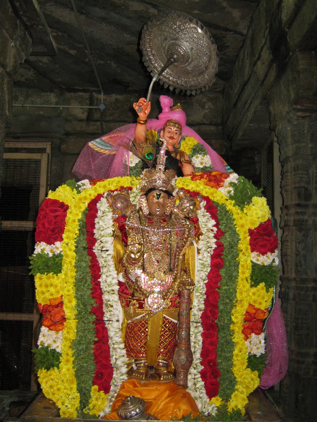 Thirukudanthai  Aravamudan Sannathi Thiruadhyayana Utsavam Gandharvan Kodai 2013--16