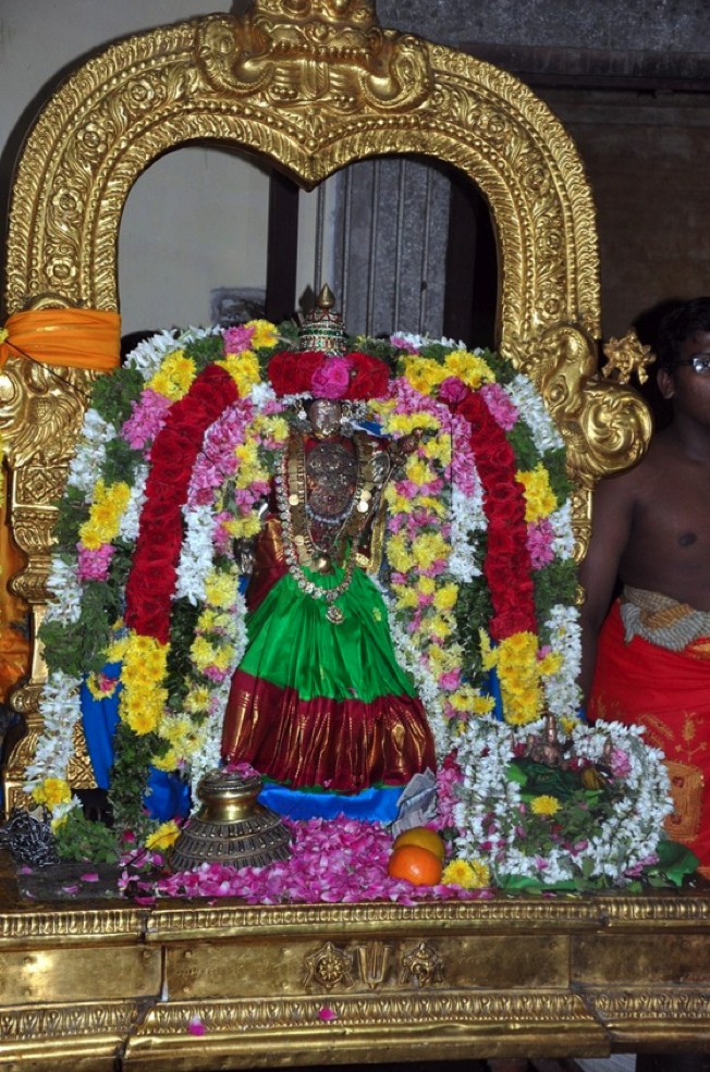 Thirumangai Azhwar Thirungari11