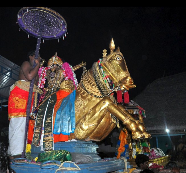 Thirumangai Azhwar Thirungari13