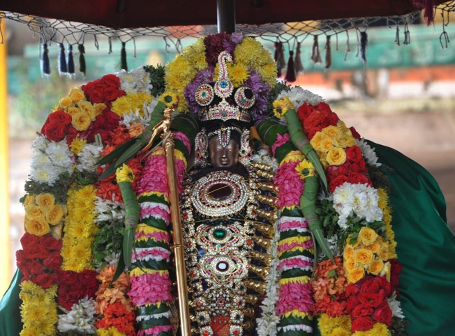 Thirumangai Azhwar Thirungari31