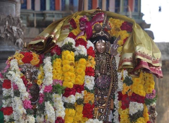 Thirumangai Azhwar Thirungari33