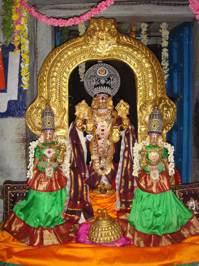 Thirumangai Azhwar janma thirunakshatram at thiruvellukkai 2013-07